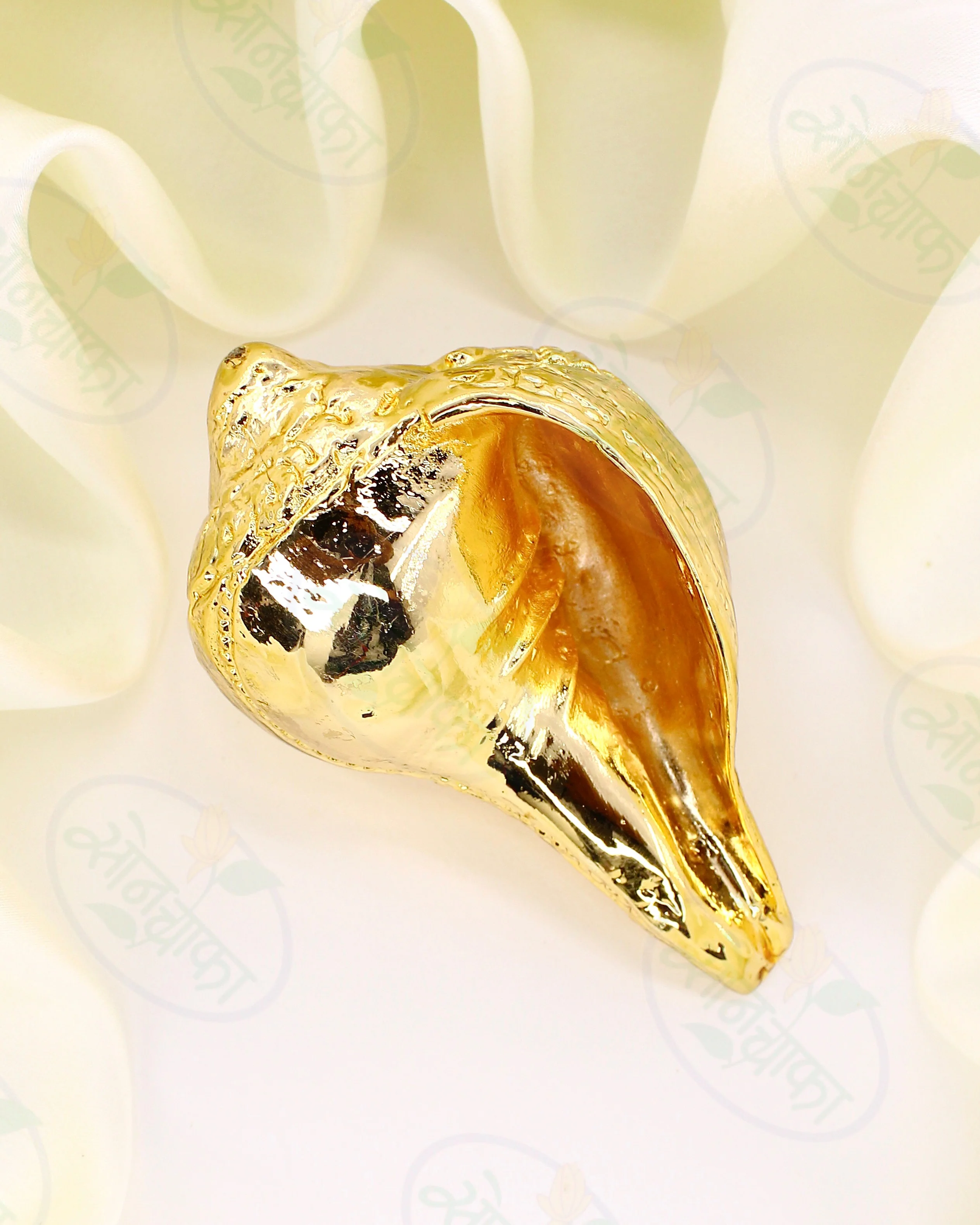 BEUTIFUL GODDESS SHELL - Image 2