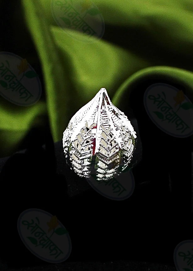 SILVER FINISH GANPATI MODAK - Image 3